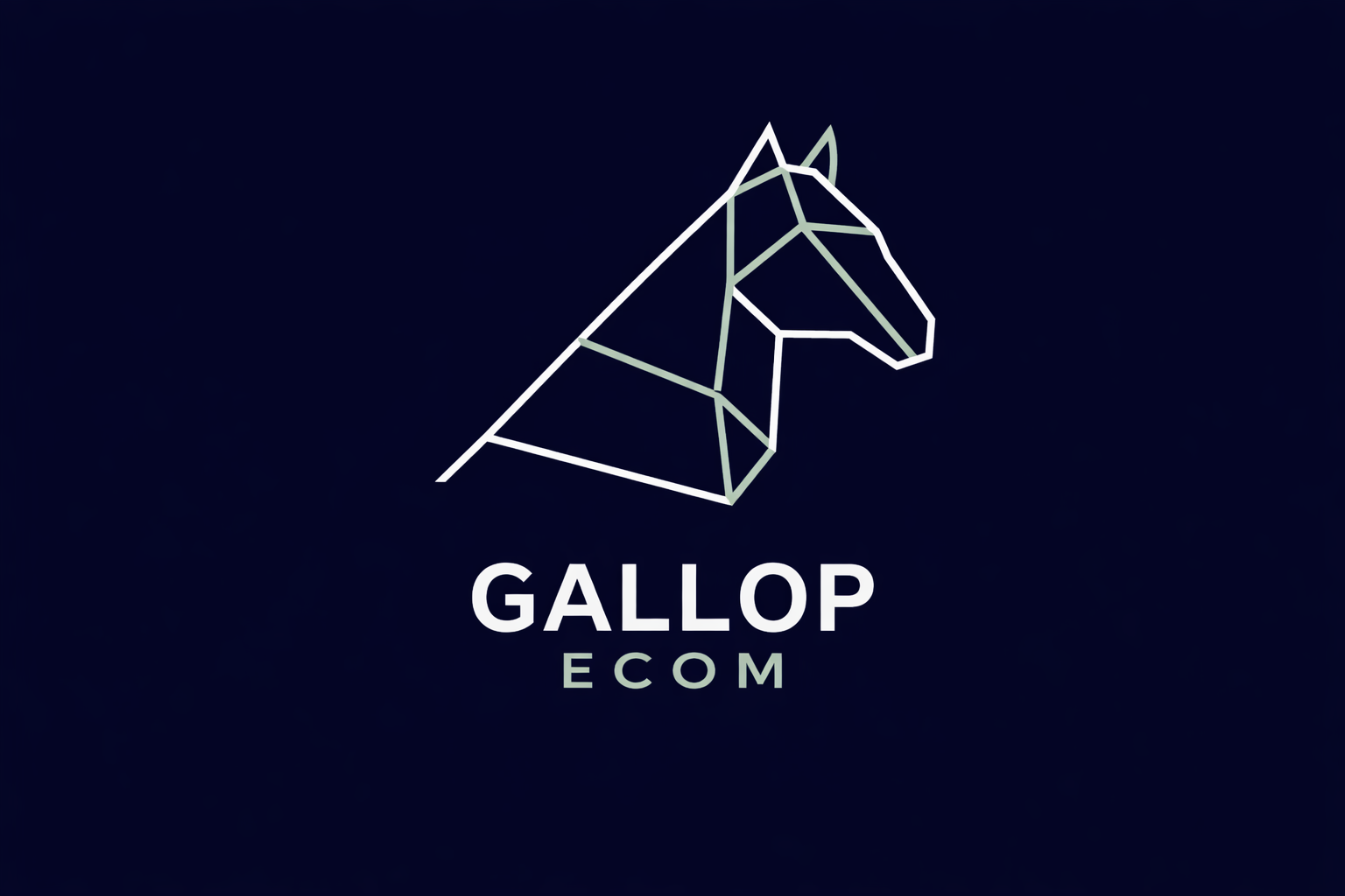 Gallop Ecom